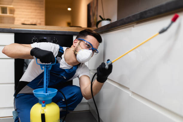 Best Affordable Pest Control Services  in Churchill, OH