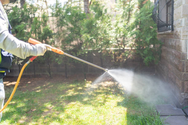 Reliable Churchill, OH Pest Control Solutions