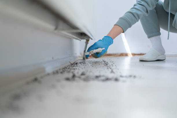 Best Pest Control for Restaurants  in Churchill, OH